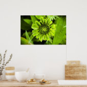 Kopffüßer, Poster (Küche)