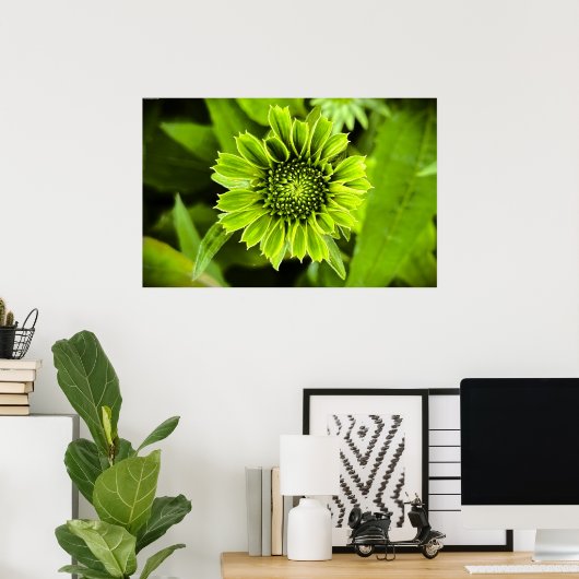 Kopffüßer, Poster (Heimbüro)