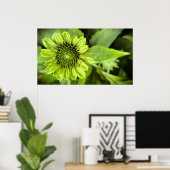 Kopffüßer, Poster (Heimbüro)