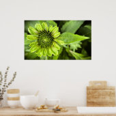 Kopffüßer, Poster (Küche)