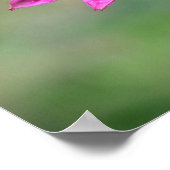 Kopffüßer, Poster (Ecke)