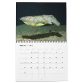Kopffüßer sind Cooler Kalender (Feb 2027)