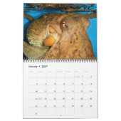 Kopffüßer sind Cooler Kalender (Jan 2027)