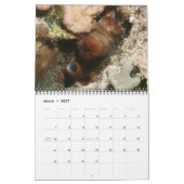 Kopffüßer sind Cooler Kalender (Mär 2027)
