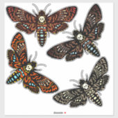 Kopfhawkmoth Skull Thorax 4 Variationen Aufkleber (Blatt)