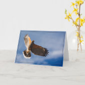 Kopfhöhe der Hawk - BLANK-Karte Karte (Gelbe Blume)