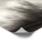 Kopfkatzenposter Poster (Ecke)