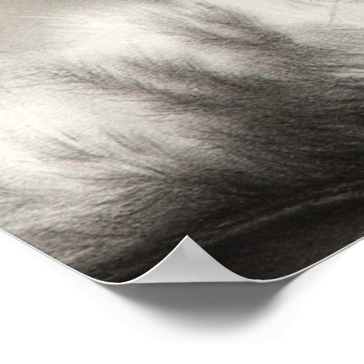 Kopfkatzenposter Poster (Ecke)