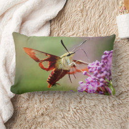 Kopfkissen Lendenkissen