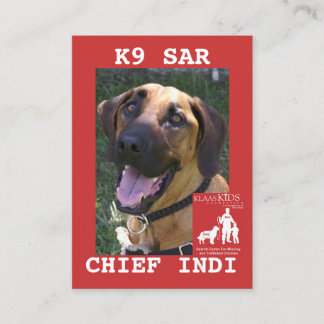 Kopfleiter, KlassKids Suchteam VERLIESS KASTEN 20… Telefonnummerkarte