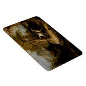 Kopfloses Pferd, Schläfenholz und Kranich Magnet (Rechte Seite)