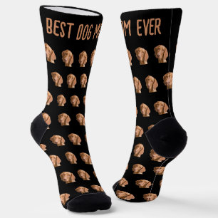 Kopfphoto von Haustier Schwarz Muster Beste Hundem Socken