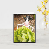 KOPFSALAT beten Karte (Gelbe Blume)