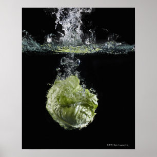 Kopfsalat, der im Wasser spritzt Poster