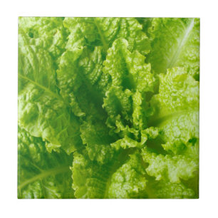 Kopfsalat Fliese