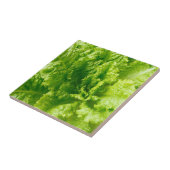 Kopfsalat Fliese (Seite)