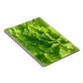 Kopfsalat Notizblock (Rechte Seite)