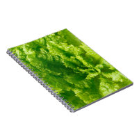 Kopfsalat