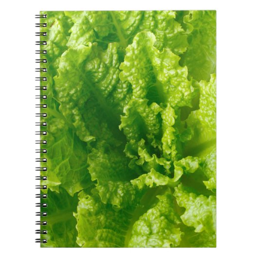 Kopfsalat Notizblock (Vorderseite)