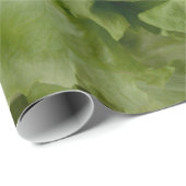 Kopfsalat wrappng Papier Geschenkpapier (Rolleneckpunkt)