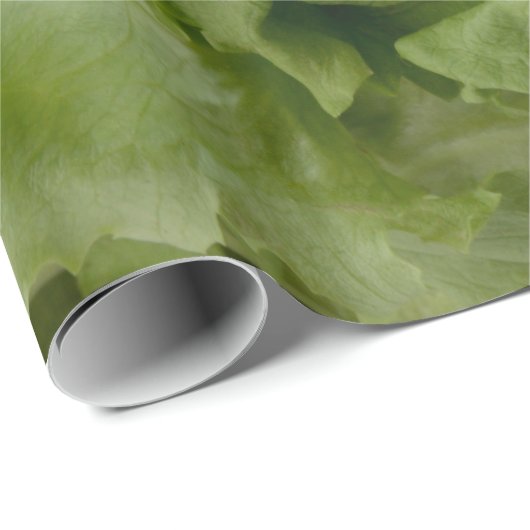 Kopfsalat wrappng Papier Geschenkpapier (Rolleneckpunkt)