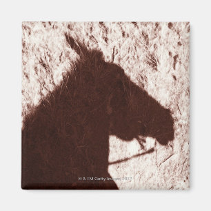 Kopfschatten des Reitpferds auf Hinterboden Jaspis Magnet