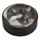 Kopfschmerzen Eishockey Puck (3/4)