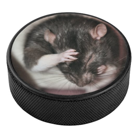 Kopfschmerzen Eishockey Puck (3/4)