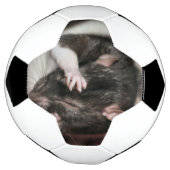 Kopfschmerzen! Fußball (Gedreht)