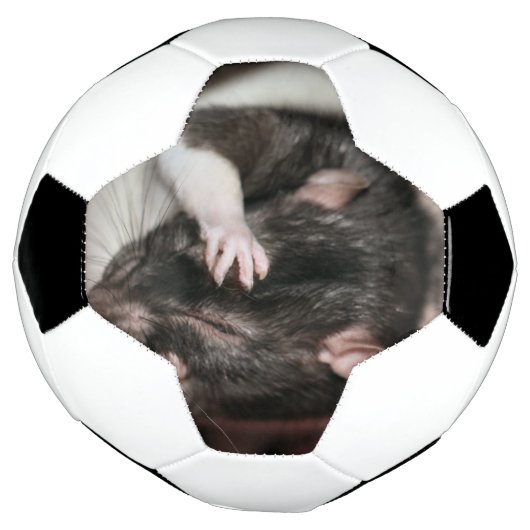 Kopfschmerzen! Fußball (Gedreht)