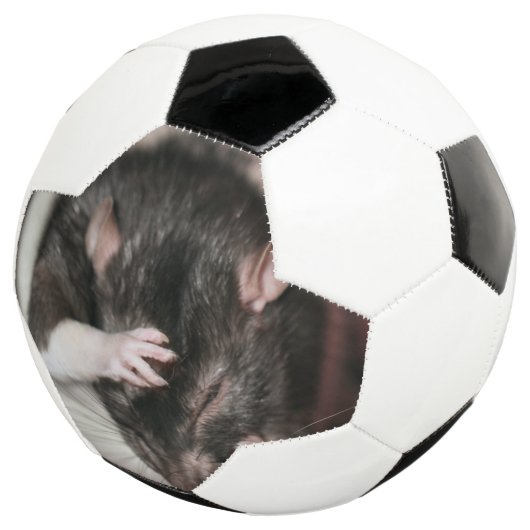 Kopfschmerzen! Fußball (Dreiviertel)