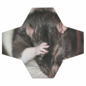 Kopfschmerzen! Fußball (Flach)