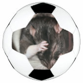 Kopfschmerzen! Fußball (Vorderseite)