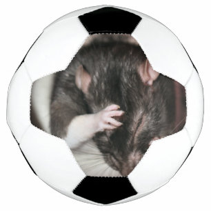 Kopfschmerzen! Fußball