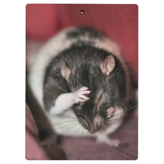 Kopfschmerzen Klemmbrett (Rückseite)