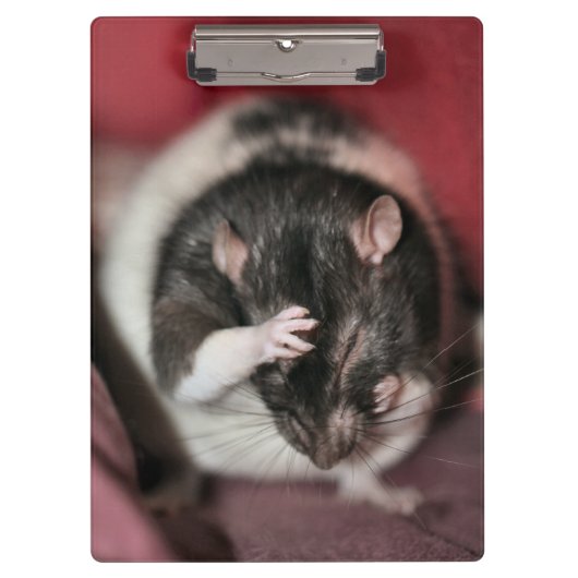 Kopfschmerzen Klemmbrett (Vorderseite)