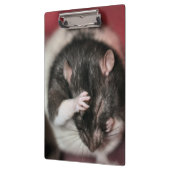 Kopfschmerzen Klemmbrett (Links)