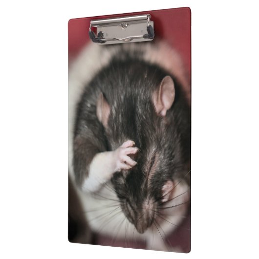 Kopfschmerzen Klemmbrett (Links)