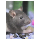 Kopfschmerzen Klemmbrett (Rückseite)