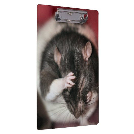 Kopfschmerzen Klemmbrett (Rechts)