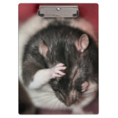 Kopfschmerzen Klemmbrett (Vorderseite)