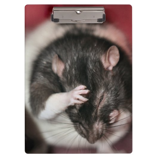 Kopfschmerzen Klemmbrett (Vorderseite)