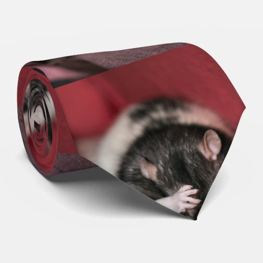 Kopfschmerzen Krawatte (Gerollt)