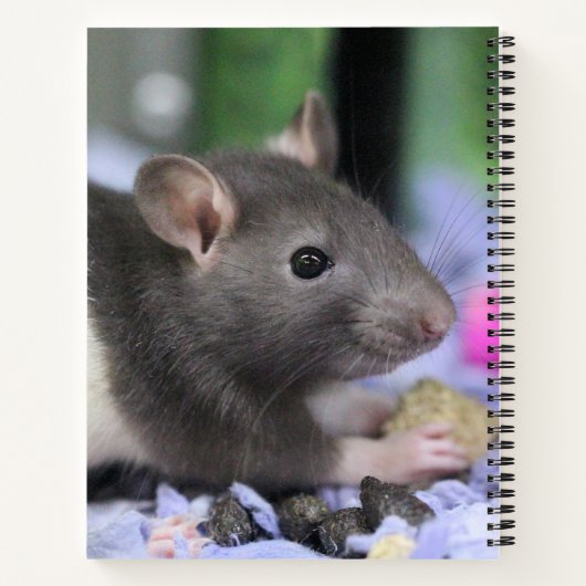 Kopfschmerzen Notizblock (Rückseite)