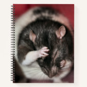 Kopfschmerzen Notizblock (Vorderseite)