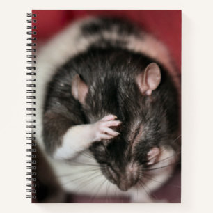 Kopfschmerzen Notizblock