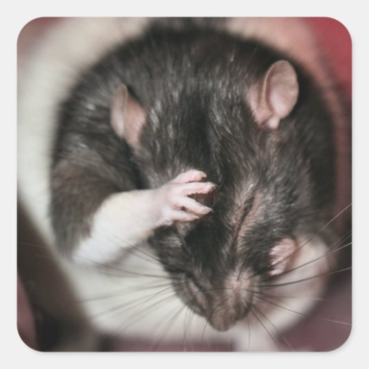 Kopfschmerzen! Quadratischer Aufkleber (Vorderseite)