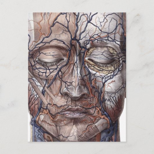 Kopfschmerzen und Muskeln Postkarte (Vorderseite)