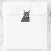 Kopfschuss einer männlichen Katze, die beim Schauk Quadratischer Aufkleber (Tasche)