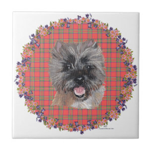 Kopfstudie auf Tartan Fliese